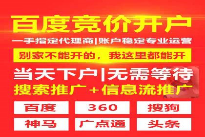 低成本高回报：百度竞价代理成功案例分析